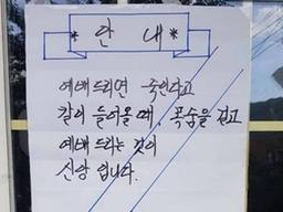 [Pick] "목에 칼 들어와도 예배"…한 목사의 '반전' 공지