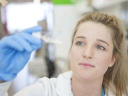 꿀벌 독으로 악성 <strong>유방</strong>암 세포만 100% 죽여…신약 개발 열쇠 될까