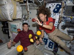 [사이언스카페] 신나는 우주<strong>여행</strong>? 당신의 뇌가 바뀐다