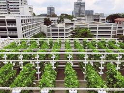 [aT와 함께하는 글로벌푸드 리포트] ‘식품 90% 수입의존’ 싱가포르, 세 가지 미래전략