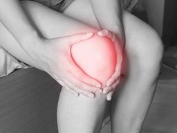 [더오래]‘꿀벅지’인데 무릎은 왜 아프지?