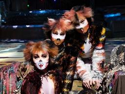 '새로운 날 올거야" <strong>고양이</strong>들의 위로…뮤지컬 '캣츠'