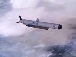 365일 지구를 날다가 때린다고? 푸틴의 그 핵<strong>미사일</strong> 진짜였다