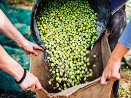 두려운 기후위기, 친환경 농업으로의 전환이 시급한 이유