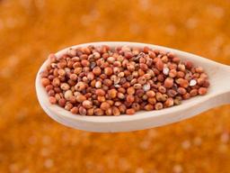 수수, 알고보니 장내 유익균 늘리는 슈퍼<strong>곡물</strong>