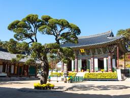 소원 이뤄주는 둥근달, 여기서 떠요...추석 달맞이 명소