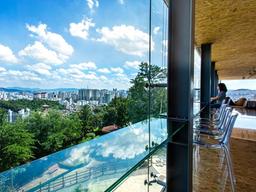 와~이런 데가 있었어?...코로나 덕분에 친해진 ‘우리 동네'