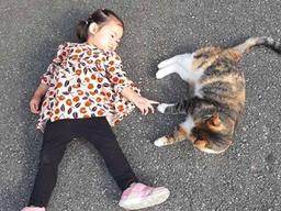 함소원, 고양이 앞발 만지려 길 위에 누워 버린 딸...귀여움 폭발