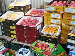 ‘어쩌다 코로나 추석’…기대감·설렘도 함께 사라졌다