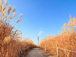 정말 가을 <strong>하늘</strong>은 더 높고 파랄까?