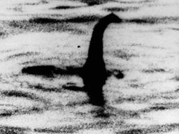 ‘네스호 괴물’ 있었나? 수중 초음파에 10m 길이 생명체 찍혀