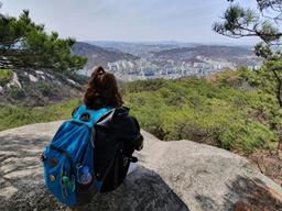코로나 무릅쓰고 한국 온 프랑스인이 달려간 여행지