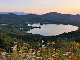 도시 떠나 산·숲 가꾸며 ‘천천히’ 살아갑니다