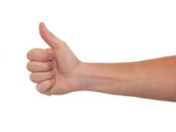 인간의 팔뚝 혈관은 ‘지금 진화중’