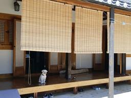 [더오래]나의 코로나 투병기…10분 머문 카페서 감염되다