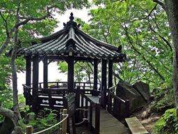 [울릉도] 성인봉 등산 - 도동에서 오를까, 나리분지에서 오를까