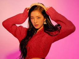 아이린·SM 사과에 에디터 '인성 폭로글' 삭제..."직접 만났다"