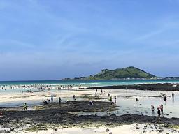 그 섬에서 4조원어치 긁었다...'작년의 제주' 가장 좋은 시절