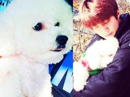 팬들조차 경악, 엑소 뮤직비디오 속 등장한 강아지