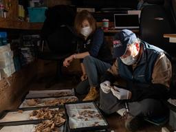 "금방 온다면서 왜 여기와 있어"…'최대 7000명 암매장' 골령골 가보니