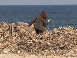 <strong>태풍</strong> 쓰레기 5천 톤 한 달 넘게 방치..."예산이 없어서"