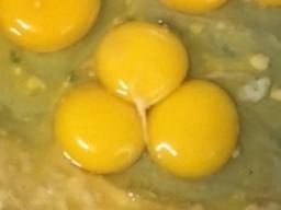 계란 깨보니 노른자가 3개…"2천500만 분의 1 확률"