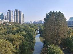 빌딩<strong>숲</strong> 사이 보일듯말듯… 서울이 숨겨놓은 ‘비밀의 <strong>숲</strong>’