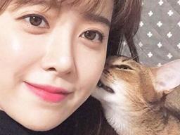 이혼했지만 전 남편의 반려견 그립다고 고백한 여배우