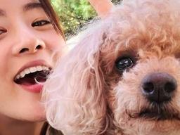 주인 결혼해서 눈물 흘리는 것 같다는 여배우 댕댕이의 사진 한 장