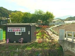 "저희는 이제 범법자 되는 거예요"…꽉 찬 돼지분뇨 통을 어쩌나