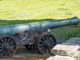 “왜 거기서 나와?!”…231년 전 중국산 대포, 英 <strong>가정집</strong> 뒷마당서 발견