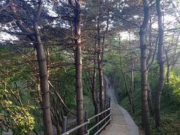 금호산, 매봉산, 서달산은 동네 뒷산? 가보니 아니더라