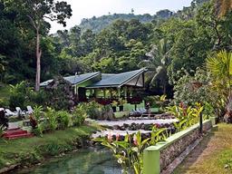 [<strong>남태평양</strong> 바누아투] 바누아투 여행 - 순수 원시 자연 속으로