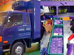 ‘전지현 없이도 300억’ <strong>마켓컬리</strong> 직원이 나와서 창업한 결과