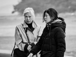 [손희정의 더 페이보릿] 올드 레이디의 이야기