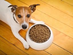 ‘무방부제 <strong>사료</strong>’ 어디까지 믿고 사야 하나요