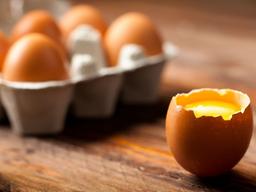 “코로나시대, 계란은 면역력 돕는 7가지 영양소 함유”