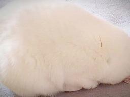 <strong>잠</strong>에 취해 일어나지 못하는 조랭이떡의 정체