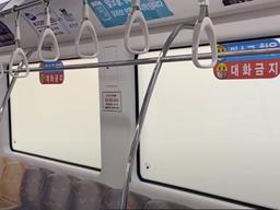 전국 딱 '두 곳'밖에 없다는 <strong>지상철</strong> 창문의 비밀