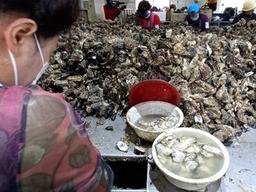 "김장철 <strong>응급실</strong> 환자 절반은 생굴 때문"... 어느 의사의 경고