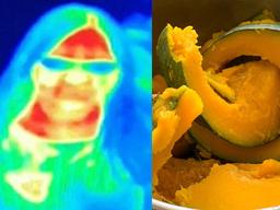 체온 1℃에 따라 <strong>질병</strong>, 통증이 달라지는 이유