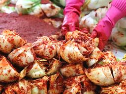 [두유노우] 추운 겨울에 담근 김치가 더 맛있는 이유