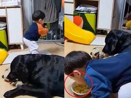 댕댕이랑 같이 자란 아기가 간식 먹다 보여준 돌발 행동..'강아지 따라잡기!'