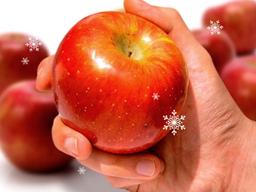 배부른데 살 빠져? 먹어야 할 이유가 생겼다… '<strong>사과</strong> <strong>효능</strong>'