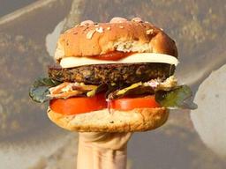 식물육도 지구엔 부담?...해초육이 있다