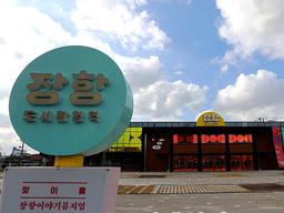 [인싸핫플] 빛으로 그린 역…장항의 ‘스타’를 소개합니다