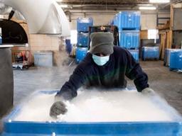 전 세계 가장 차갑고 가장 뜨거운 작전 시작됐다