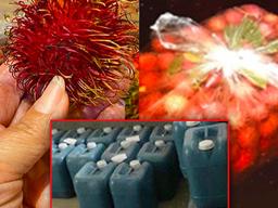 ‘유통기한 늘리려고’ 중국에선 과일에 이것까지 바른다는데