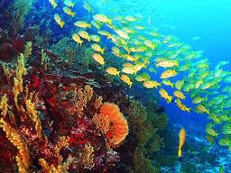 코로나19 <strong>프리</strong>패스가 주어진다면…나는 여기로 떠나고 싶다