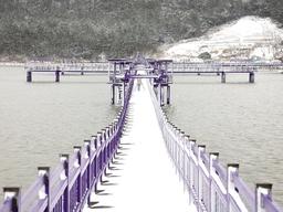 하얀 눈 내려앉은 ‘퍼플바다정원’ 환상적이네!